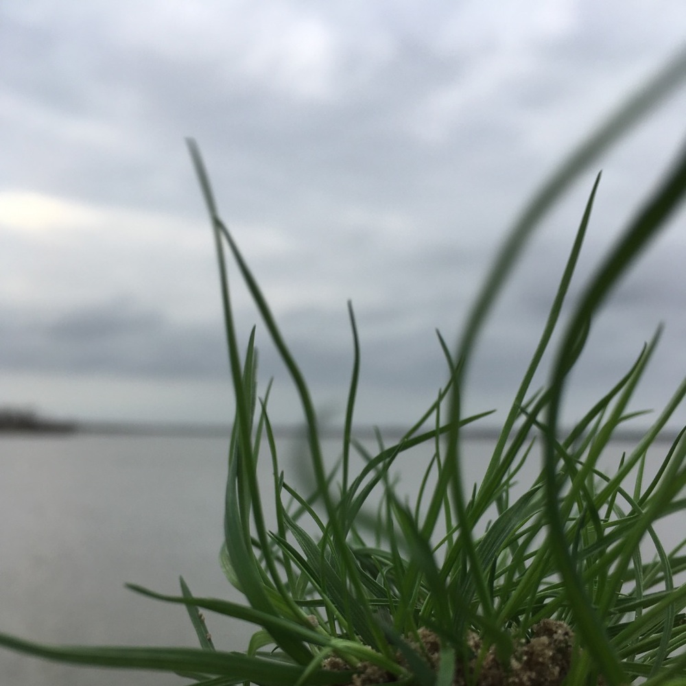 Meet your Posher, Austin